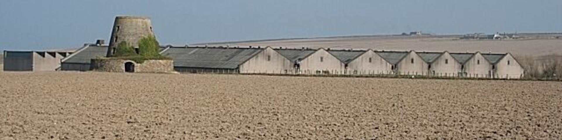Glenglassaugh Distillery The roofs of the warehouses at Glenglassaugh. The curious tower to the left is the base of a windmill.