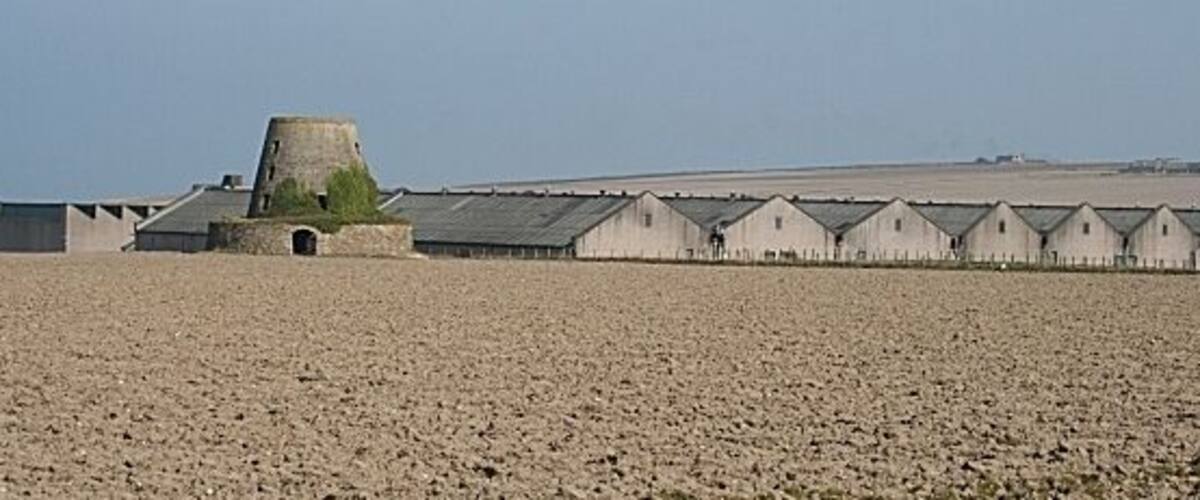 A coastal landscape with a large concrete structure and a row of small buildings.