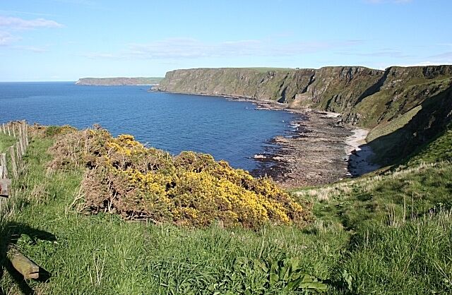 A coastal landscape with cliffs, a beach, and yellow flowering bushes.