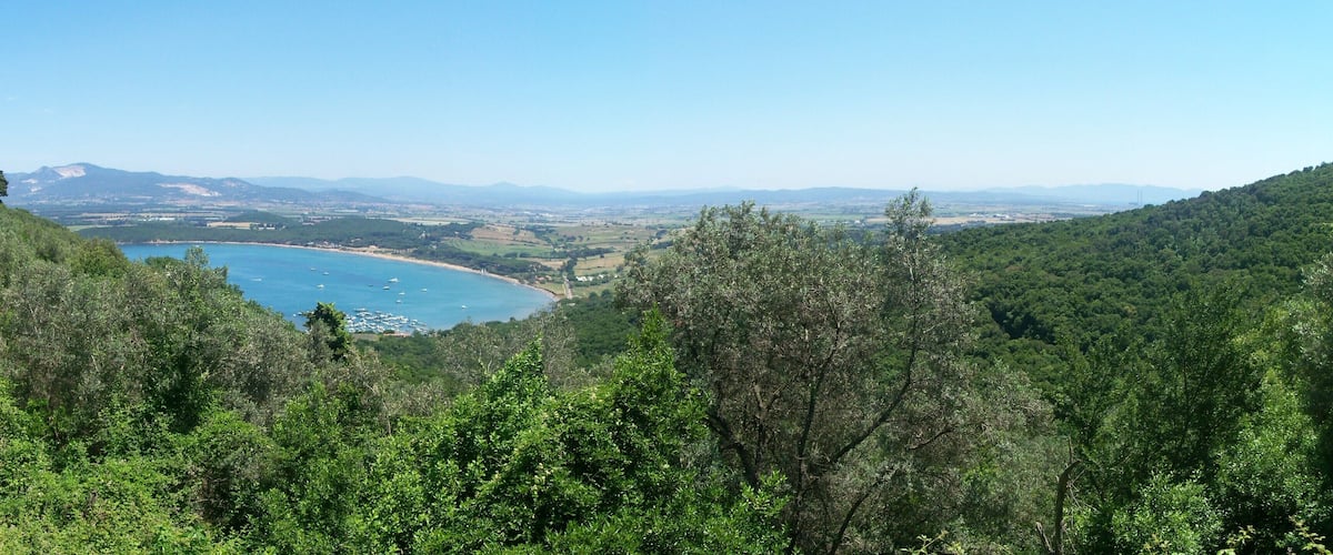 A coastal landscape with dense forest, a bay with boats, and distant mountains.