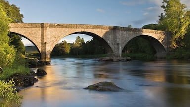 Uma ponte de pedra sobre um rio, com três arcos, rodeada por vegetação e árvores.