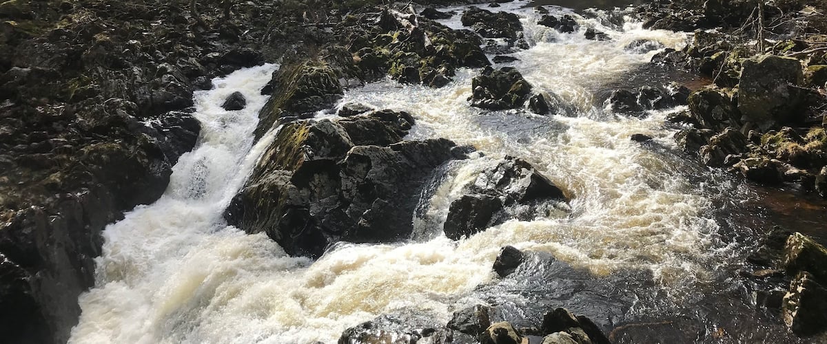 A river flowing over rocks in a forested area.