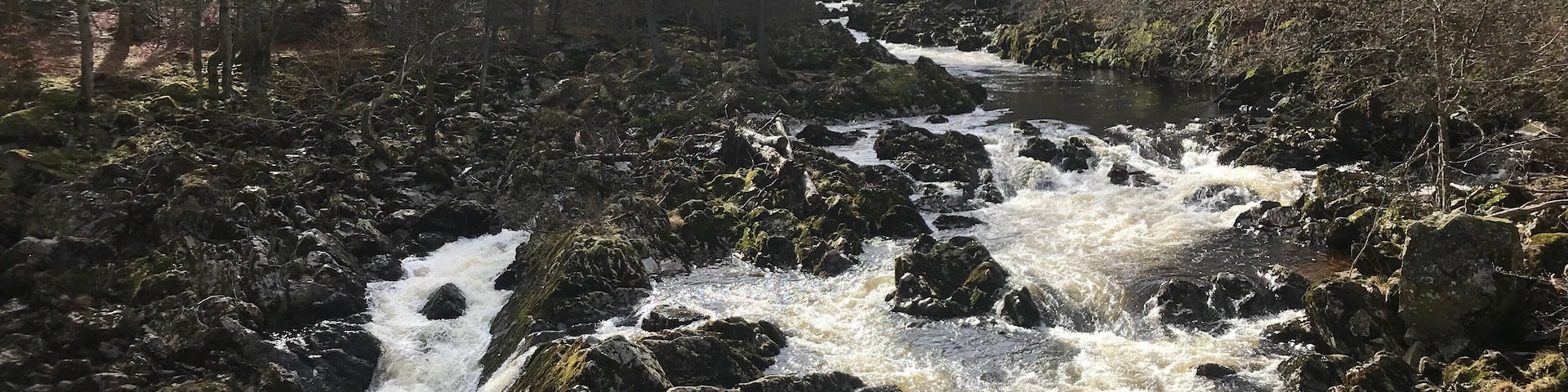 A river flowing over rocks in a forested area.