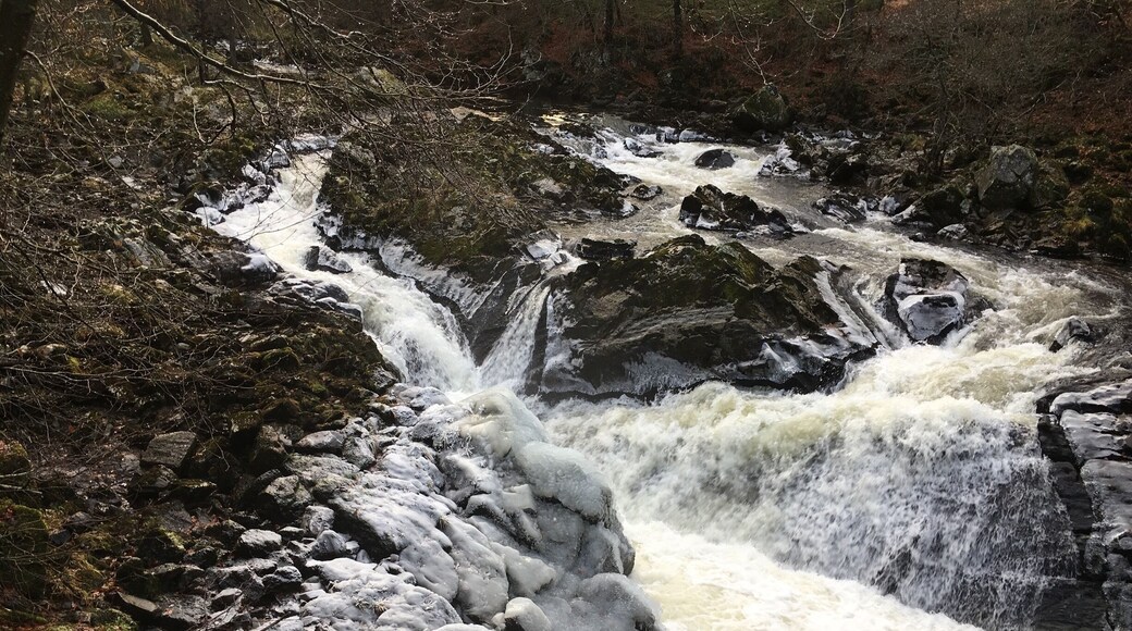 Icy on the rocks, lots of salmon here around October time