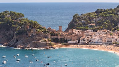 Aerial view of boats in bay with historic castle and rocky coastline in Tossa de Mar on sunny day, Spain, Catalonia
