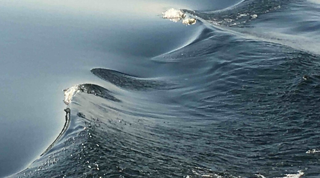An abstract of the waves from River Nile - its brings abstract photography to life # travel # nature #water #perspectives #nationalpark #landscape