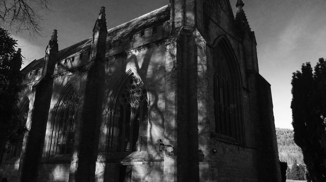 Shadows of the trees covering the building