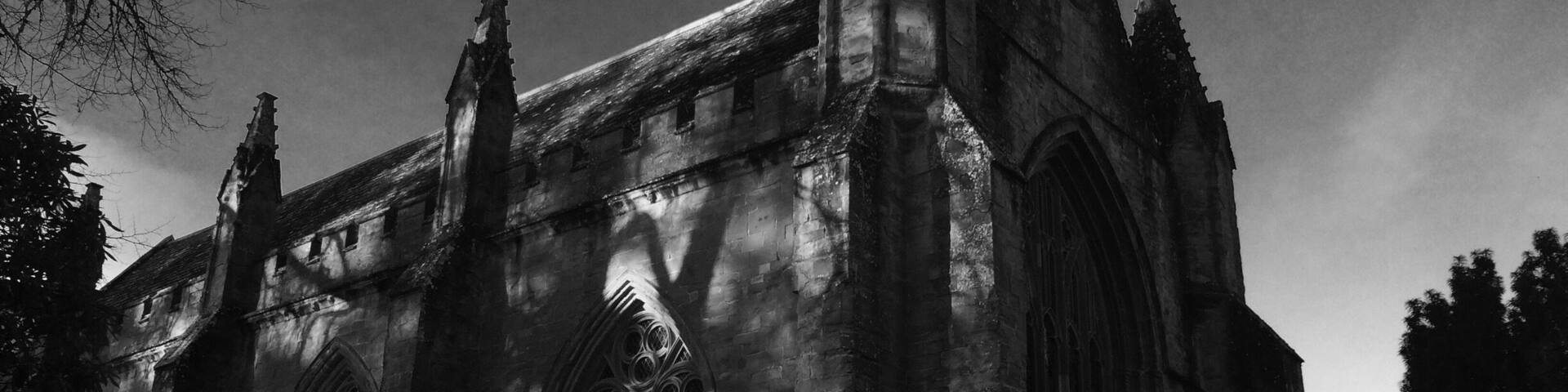 Shadows of the trees covering the building