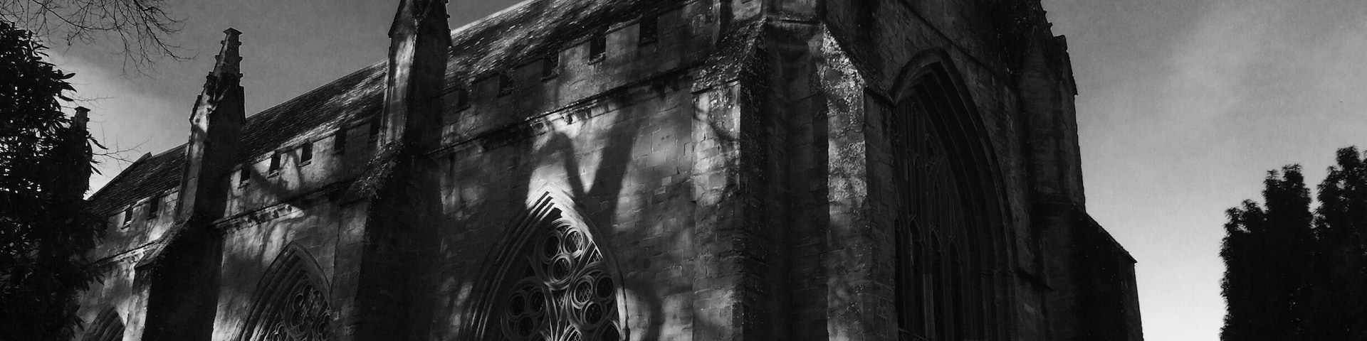 Shadows of the trees covering the building