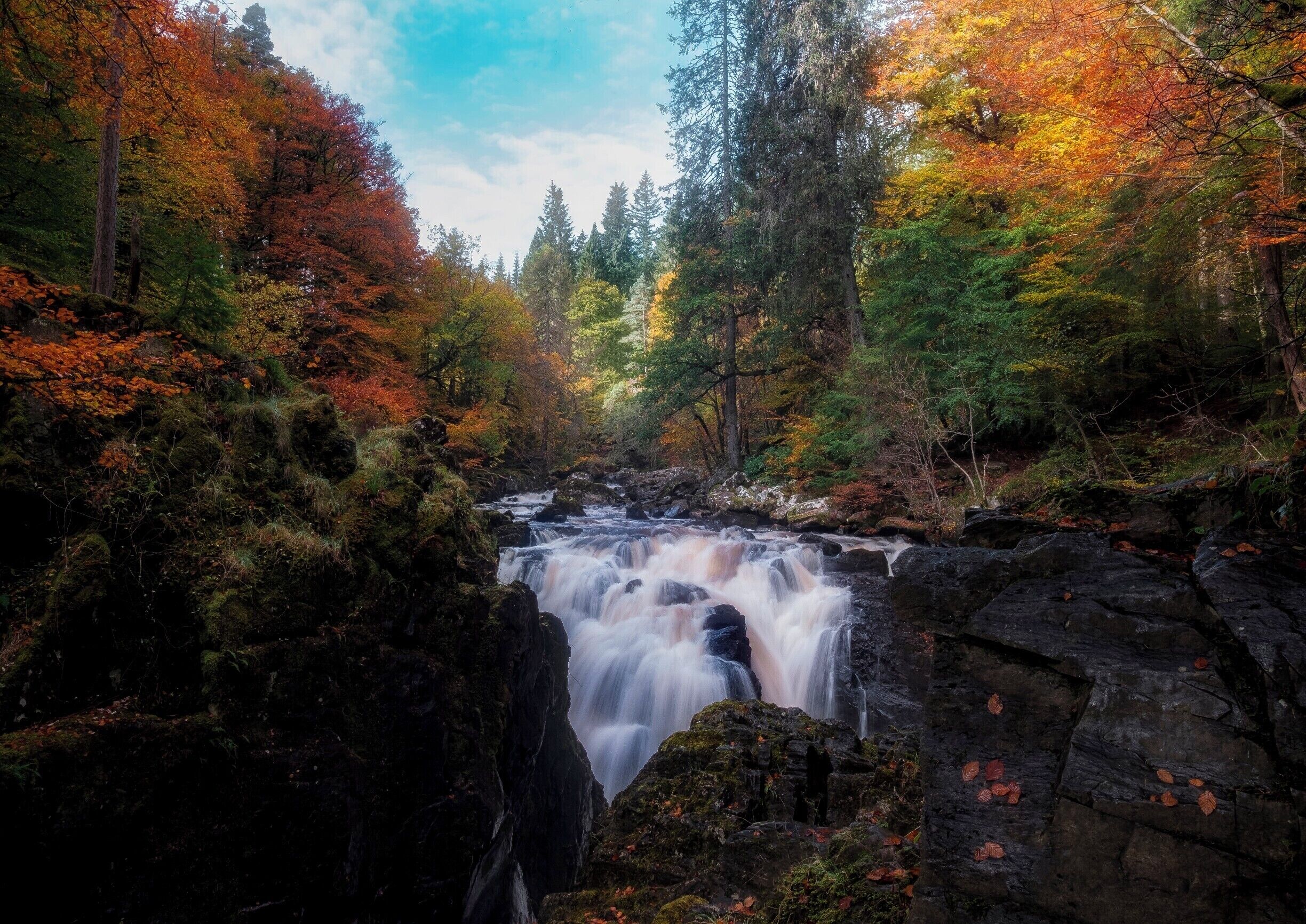 A waterfall in a forest with autumn-colored trees.