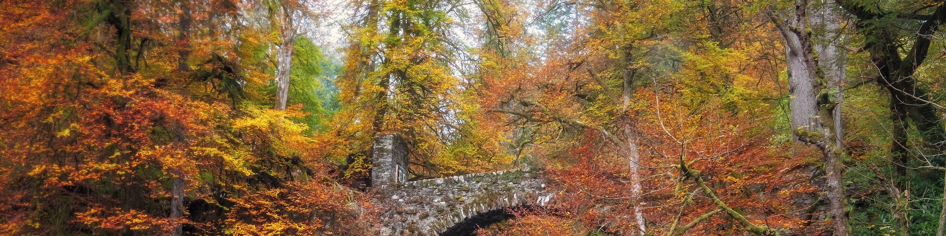 A stone bridge over a river surrounded by autumn foliage.