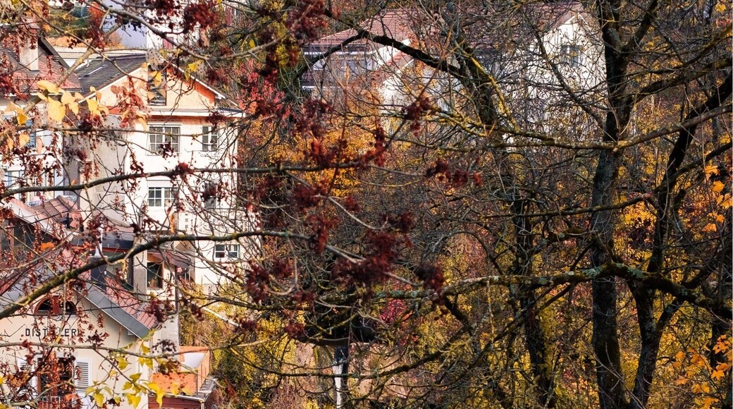 Cascade du Forestay at the entrance of Chexbres