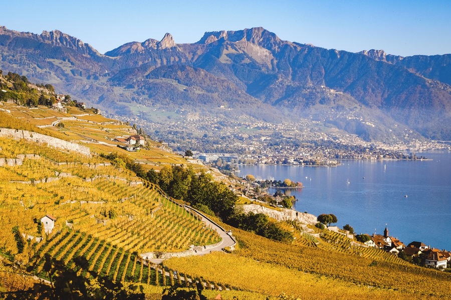 One of my favorite place to be, especially in the fall, is the Lavaux region, one of Unesco's world heritage site. The warm colours of the vine leaves, contrasting with the blue of the water and the alps is mesmerizing. There are so many paths leading from one village to the other, you can hike all you want and never get bored! And you can even have a sample of the locally produced wine on the way! #MyBackyard