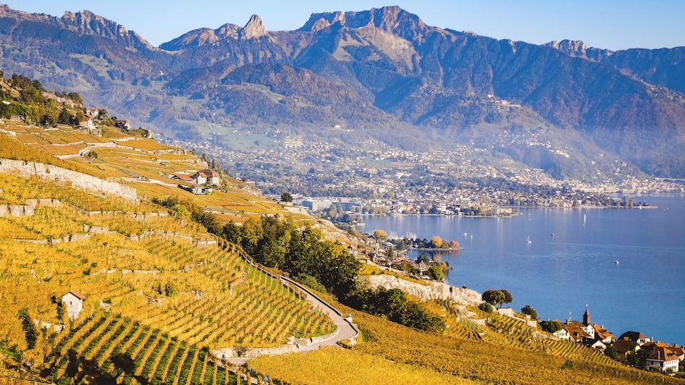 One of my favorite place to be, especially in the fall, is the Lavaux region, one of Unesco's world heritage site. The warm colours of the vine leaves, contrasting with the blue of the water and the alps is mesmerizing. There are so many paths leading from one village to the other, you can hike all you want and never get bored! And you can even have a sample of the locally produced wine on the way! #MyBackyard
