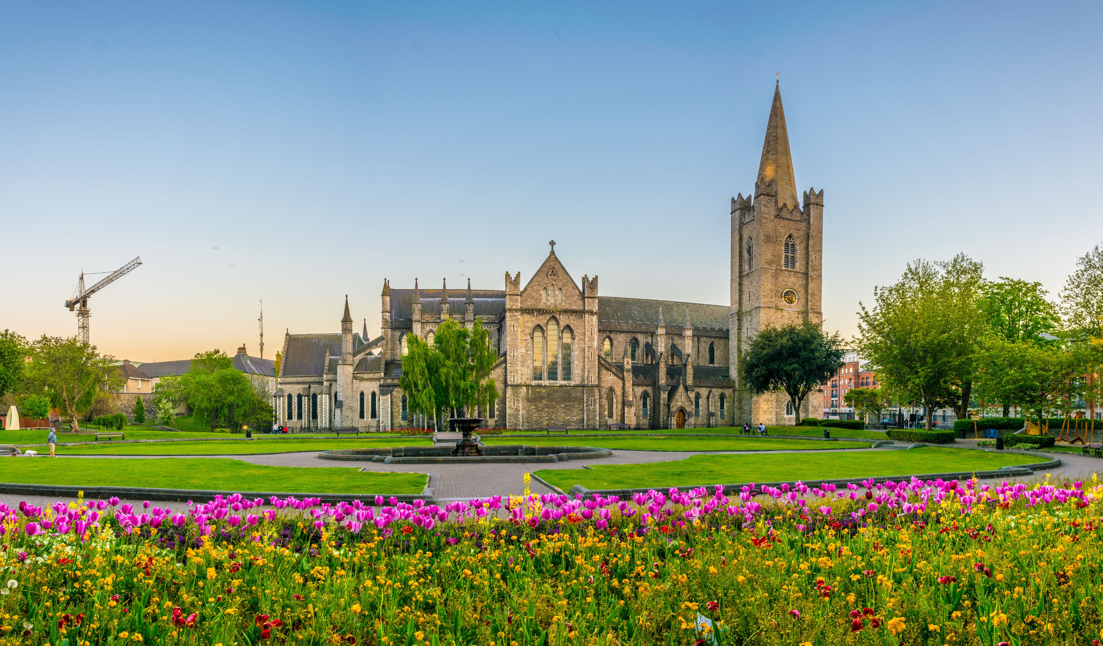 Night view of the St. Patrick's Cathedral in Dublin, Ireland