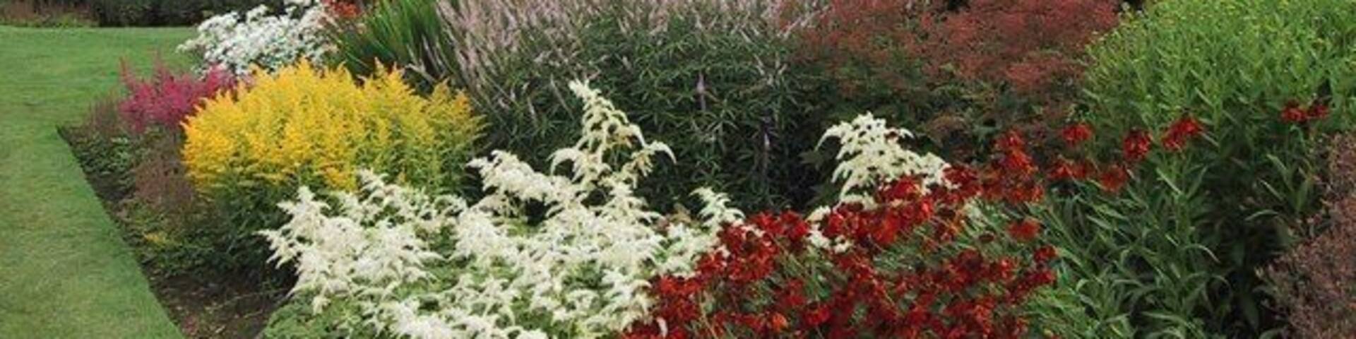 Herbaceous Border in Pitmedden Garden