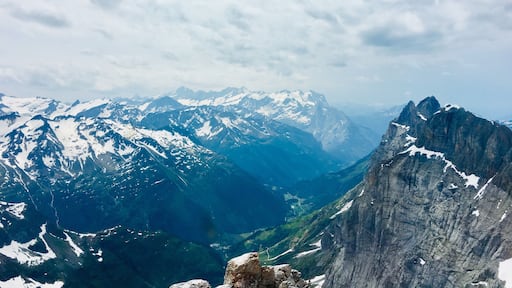 So serene and full of calm in this most beautiful hillside of Mt. Titlis!!! Felt wonderful... just stood there gazing at the mix of colours and the ceaseless beauty that the nature is. #nature #titlis #switzerland