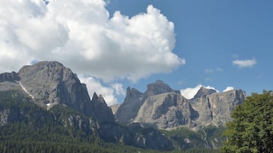 Rugged mountains, a clear sky, and a dense forest.