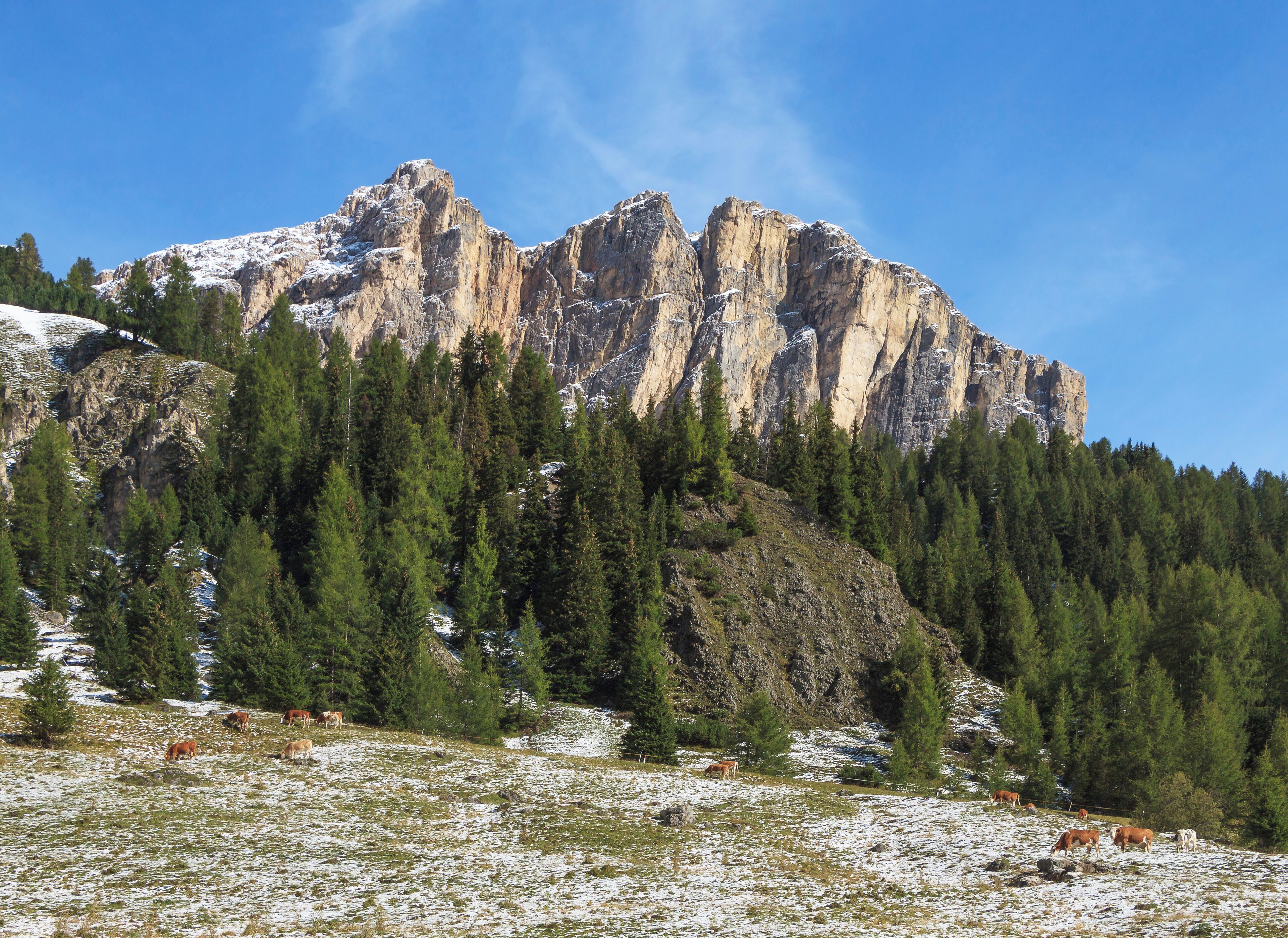 Eastern part of the Pizes de Cir north of Gardena Pass, South Tyrol, Italy.