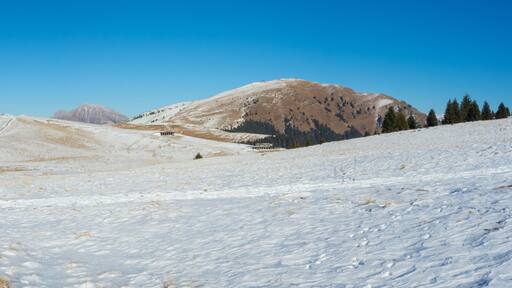 Landscape at the Monte Pora ski area in winter dry season. Orobie Alps, Bergamasque Prealps, Bergamo, Italy.