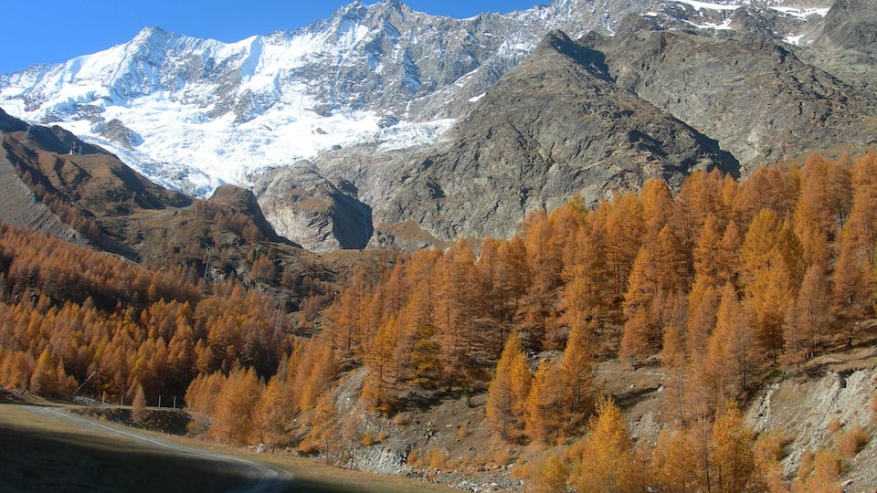 A mountainous landscape with a snow-capped peak, autumn-colored trees, and a dirt road.