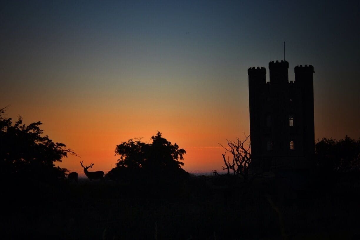 Stunning sunset looking towards Broadway tower, as the deer are roaming about.