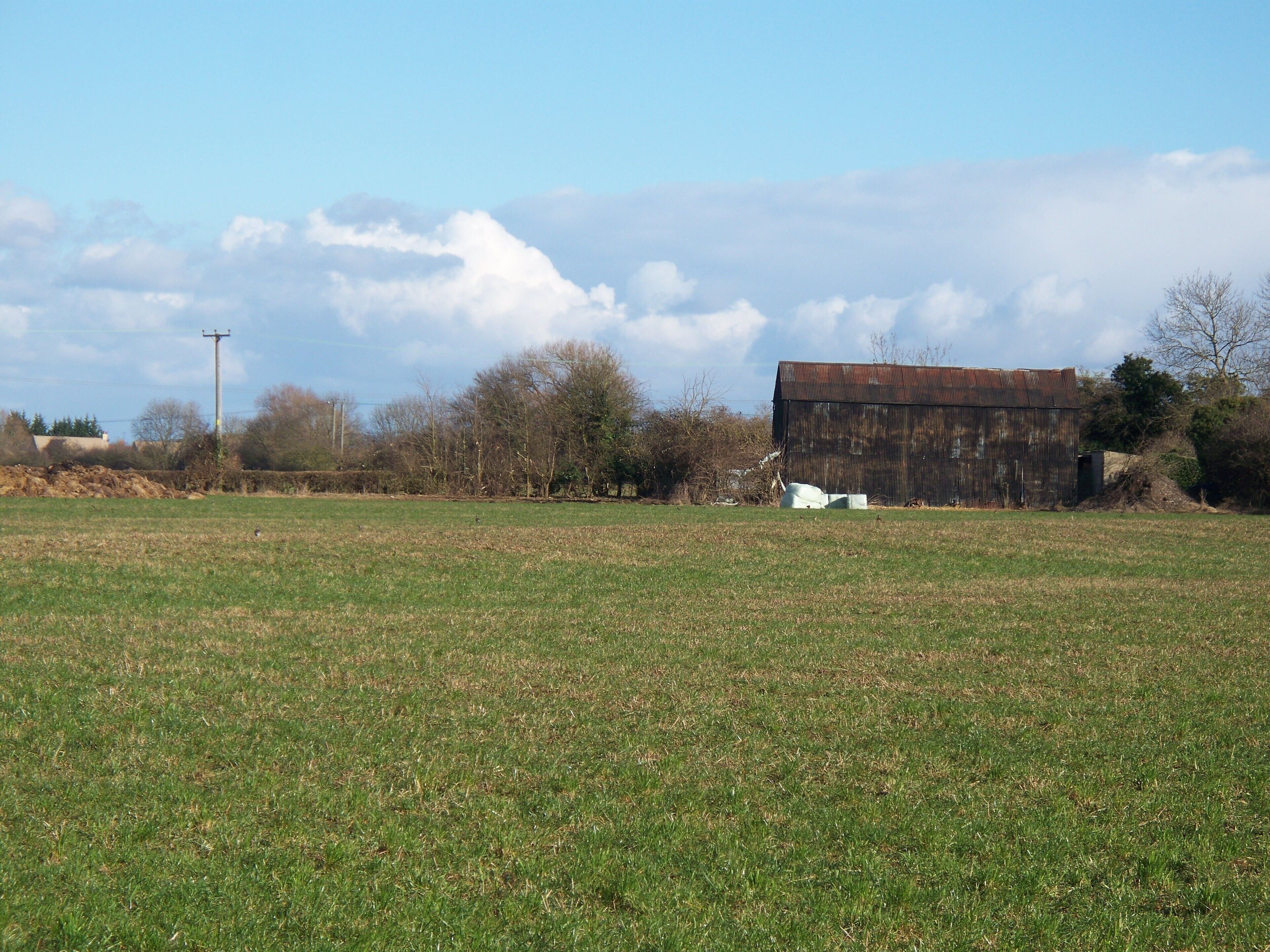 Elderly barn Seen, across the field from the footpath, this barn is alongside Collin Lane.