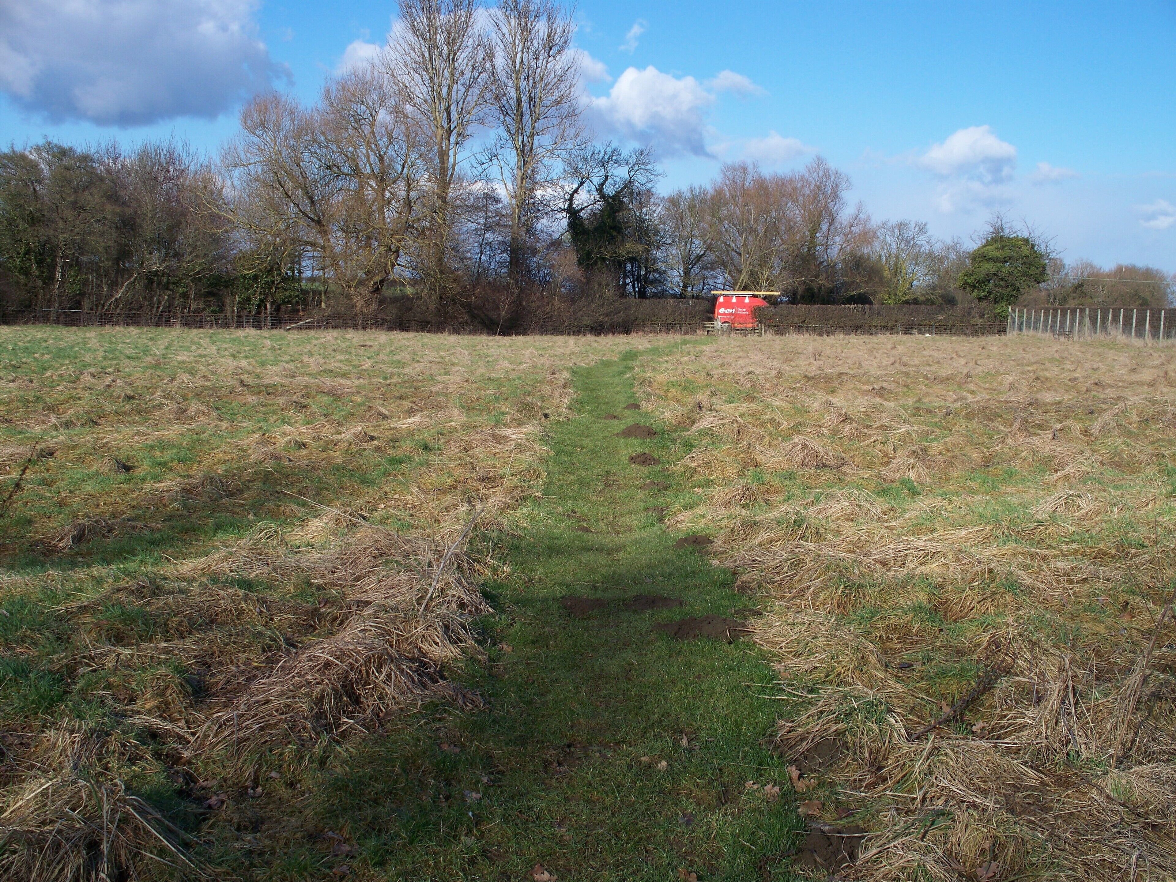 Towards the lane The footpath passes through this field of rough grazing. Collin Lane in the background.