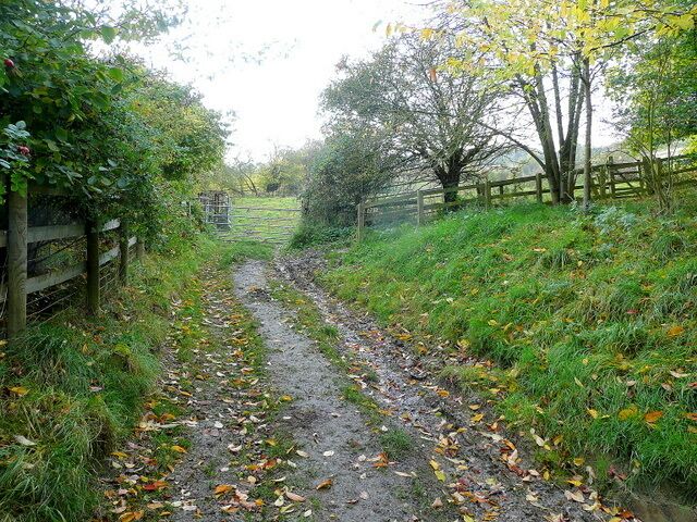 Steep footpath Ascending the Cotswold scarp to the south of Buckland.
