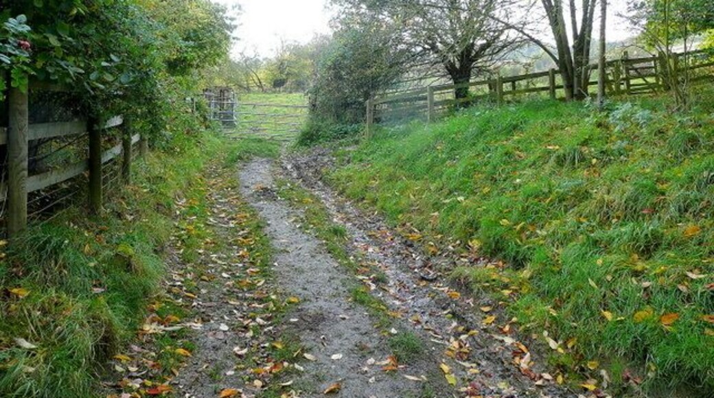 Steep footpath Ascending the Cotswold scarp to the south of Buckland.