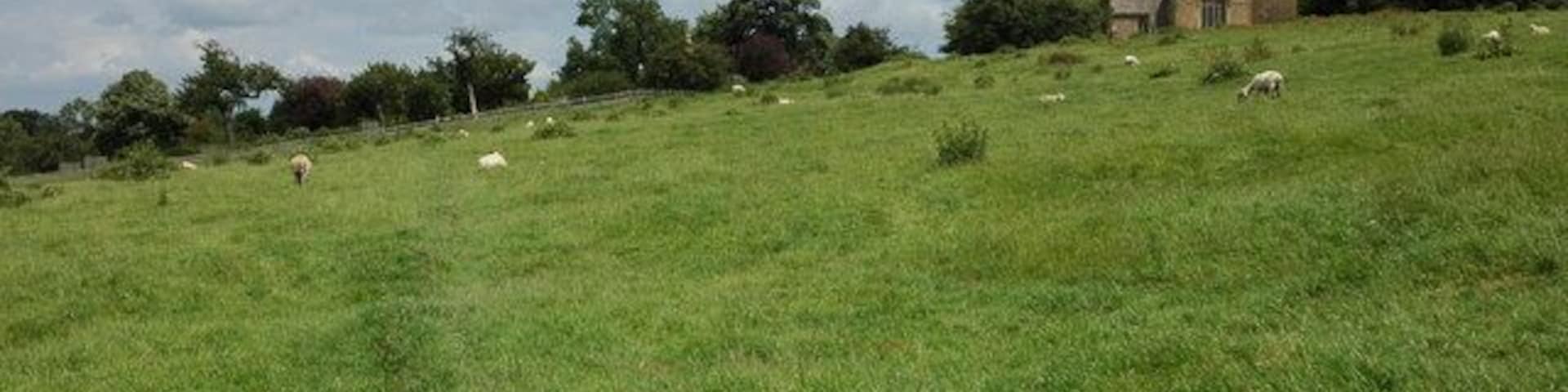 Saintbury Church and Cotswold hillside St Nicholas's church, Saintbury viewed from the footpath to the west. The church is in a superb position halfway up the Cotswold escarpment and from its elevated location there are excellent views of Worcestershire.