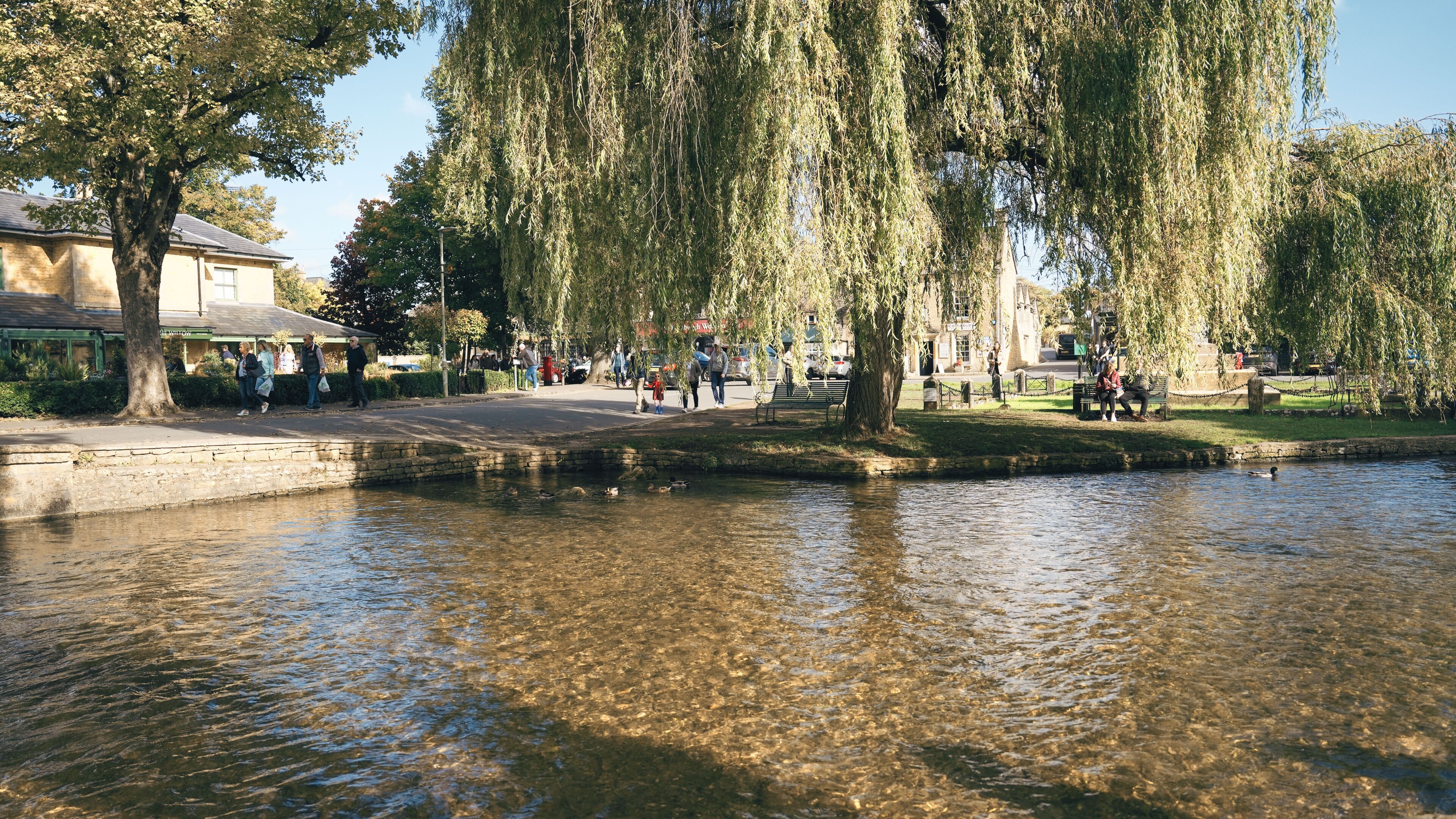 Un río tranquilo con patos, un sauce llorón y un parque con gente caminando.