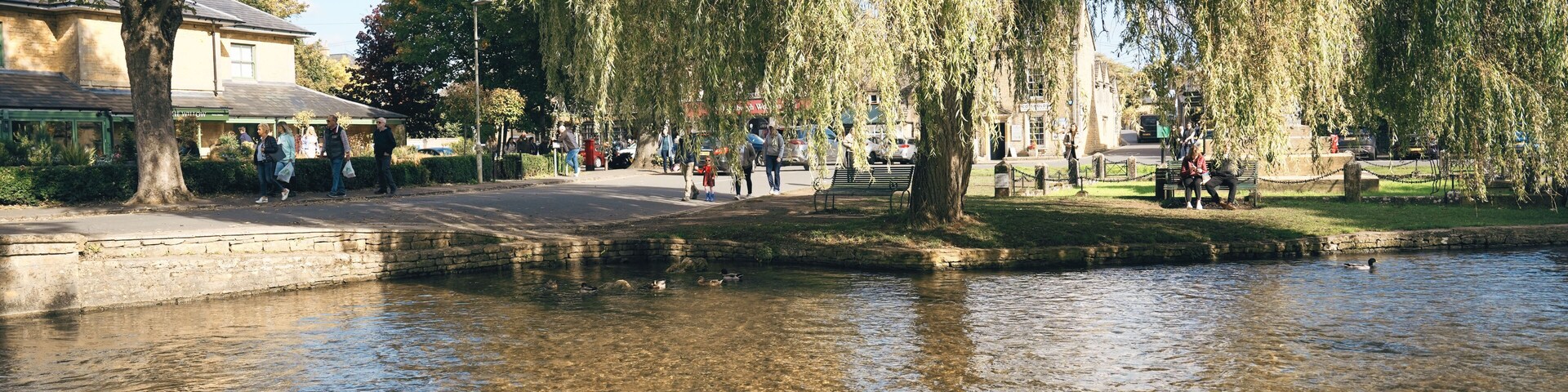 Un río tranquilo con patos, un sauce llorón y un parque con gente caminando.
