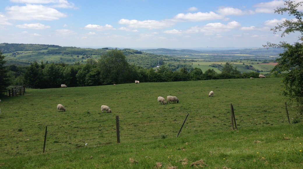 Broadway in Cotswold is one of the most beautiful countryside and prettiest villages in England.
#weekendgetaway #BestOf5 #LoveMyTown #EndlessSummer #Green