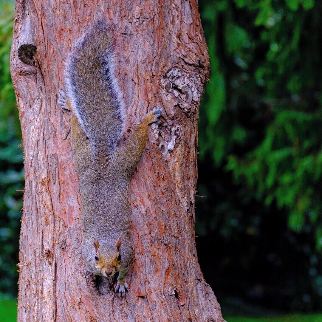 "Eat your heart out Spiderman"

Another test shot using my new lens.

Fuji X-t2
Fujinon 55-200