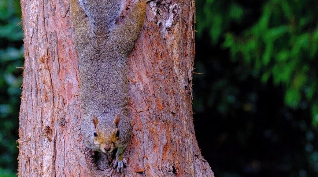 "Eat your heart out Spiderman"
Another test shot using my new lens.
Fuji X-t2
Fujinon 55-200