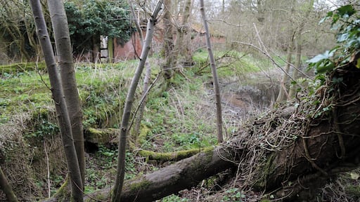 Abandoned mill at Tilty, Essex, England - overgrown mill race at the west