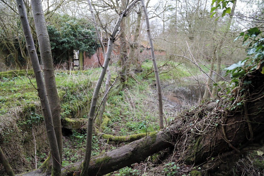 Abandoned mill at Tilty, Essex, England - overgrown mill race at the west