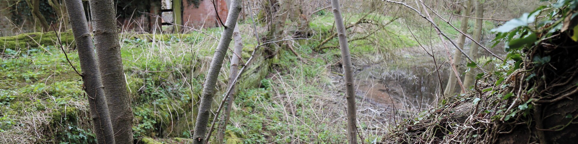 Abandoned mill at Tilty, Essex, England - overgrown mill race at the west