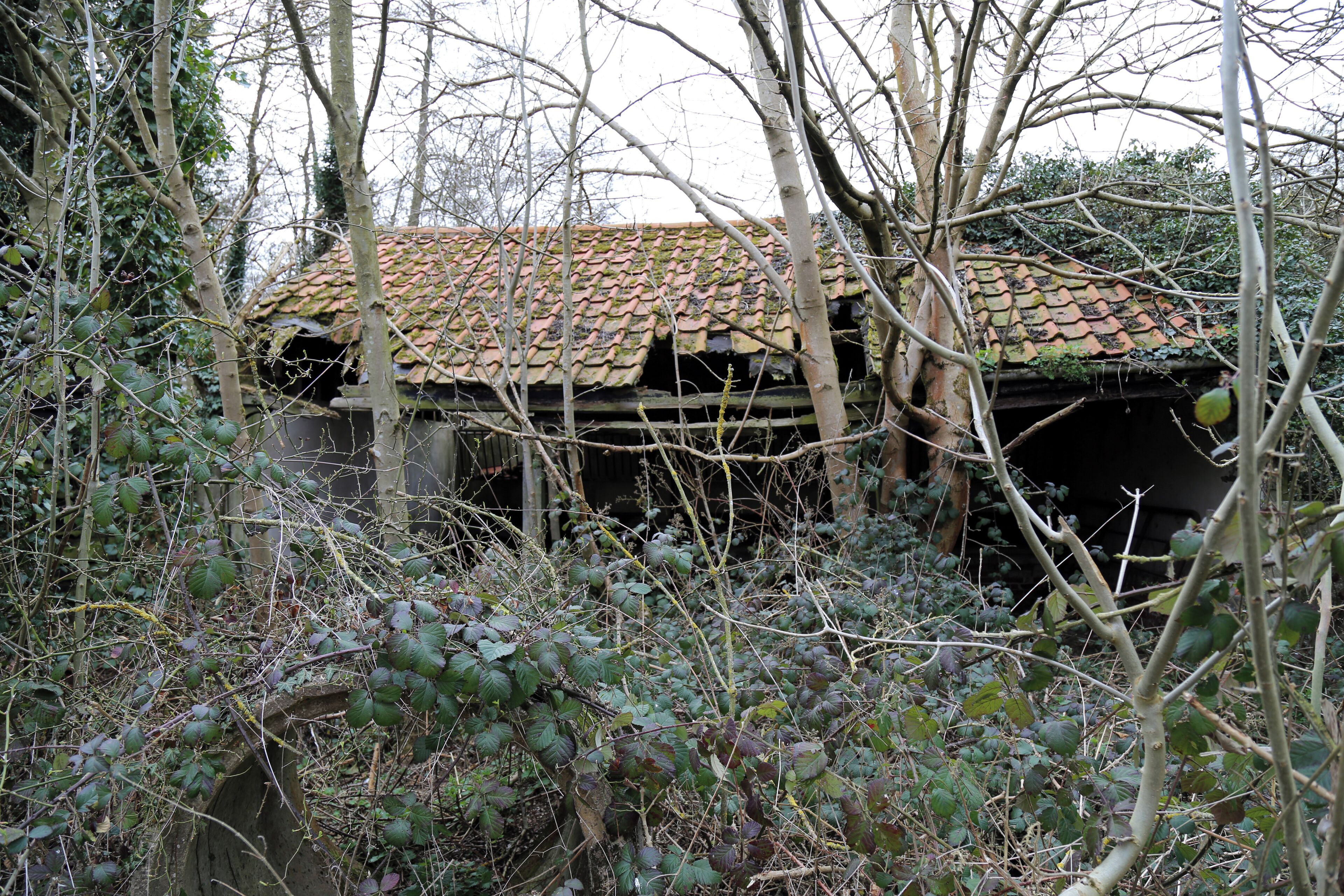 Abandoned mill at Tilty, Essex, England - abandoned shed to the north of the mill, from the east