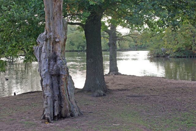 Connaught Water Named after the first Ranger of Epping Forest, Queen Victoria's son Arthur, Duke of Connaught, this pond was first created in 1880 to drain a marshy area of the forest. It was used as a paddling pool and later as a boating lake.