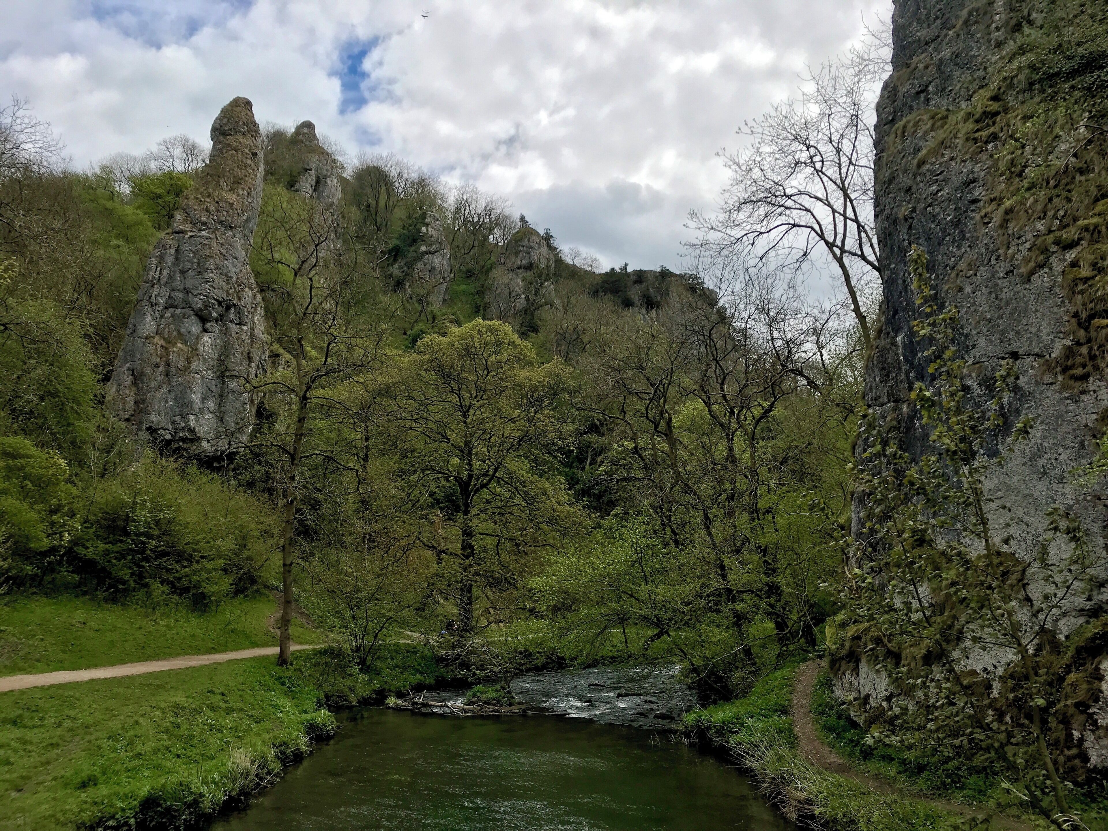 A river flowing through a valley with rocky cliffs and trees.