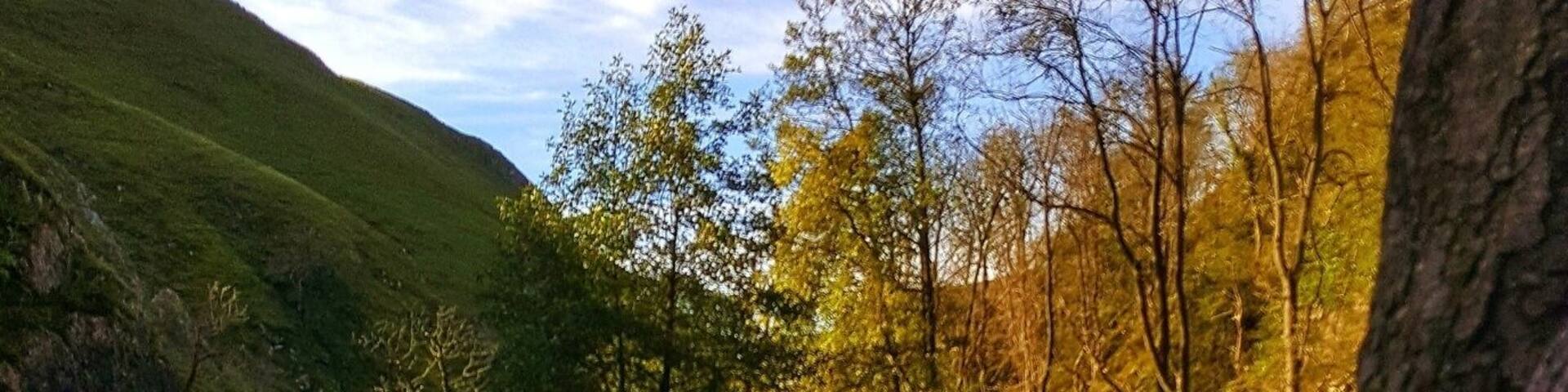 Une rivière avec des rochers au premier plan, des arbres et une colline en arrière-plan.