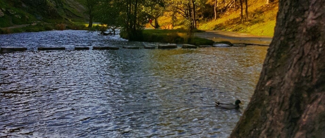 Love this place..😍 dovedale to milldale walk .. good for the legs, and good for the heart ❤