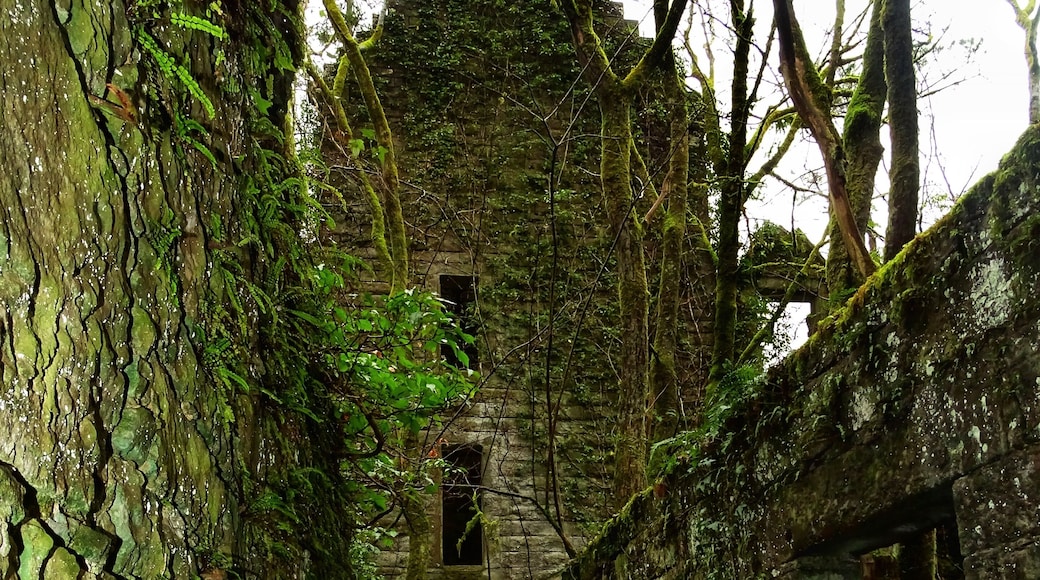 Long abandoned castle overgrown and eerie.