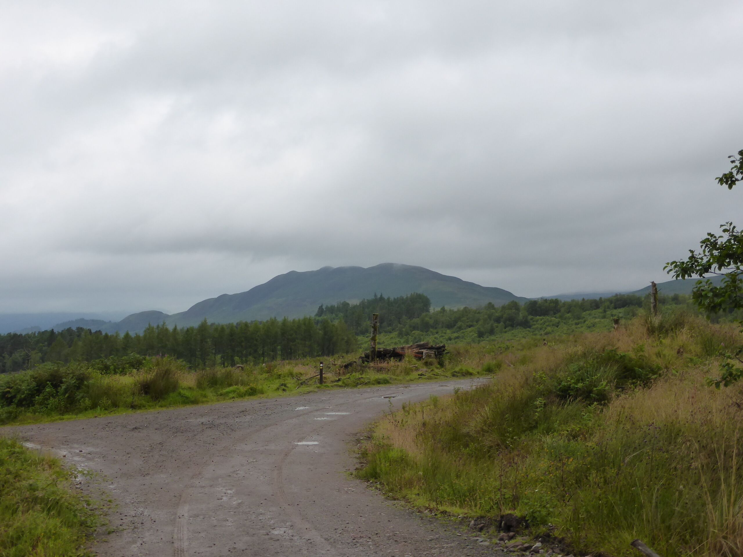 West Highland Way zwischen Drymen und Balmaha
