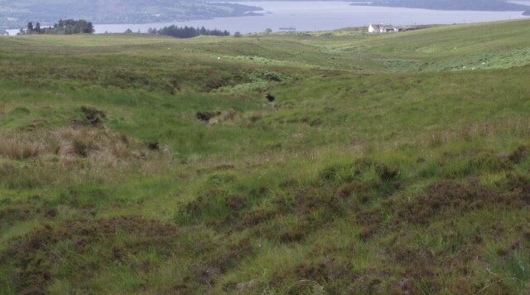 Bad Ochainaich. View down the stream to Moorpark house with Loch Lomond in the background
