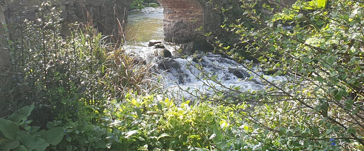 A stone bridge over a stream surrounded by greenery.