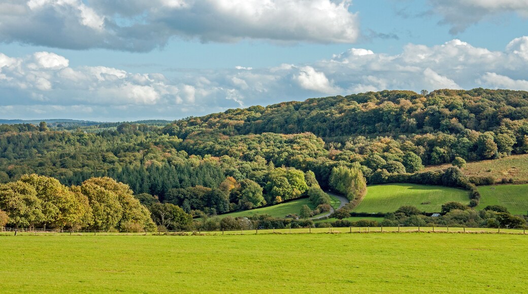 Autumnal countryside in the Forest of Dean, United Kingdom., Shutterstock ID 1041959836, Purchase Order: SP-1394 HA Batch 3 Part 1, Order Number: , Client/Licensee: HomeAway, Other: To be paid with HA