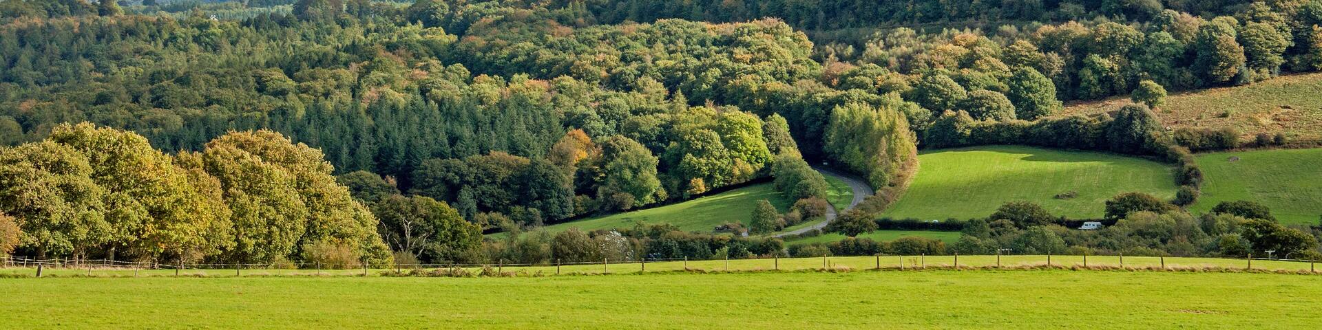 Autumnal countryside in the Forest of Dean, United Kingdom., Shutterstock ID 1041959836, Purchase Order: SP-1394 HA Batch 3 Part 1, Order Number: , Client/Licensee: HomeAway, Other: To be paid with HA